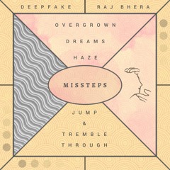 Deepfake & Raj Bhera - Missteps