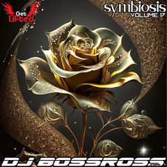 Symbiosis 17 - Best of Organic & Chill House