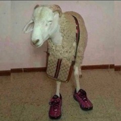 Milesdakid - Fuk A Opp (toker club remix)