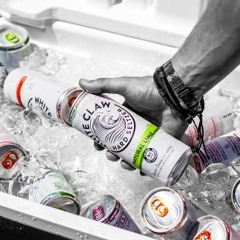White Claw Advertising Agency: Innovative Brand Campaigns