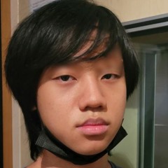 Leftovers (group 13)