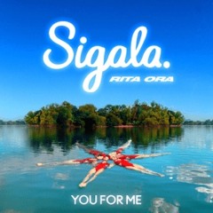 Sigala, Rita Ora - You For Me (Just Rob Remix)