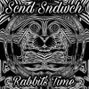 Скачать видео: Rabbit's Time