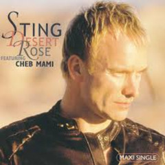 STING - DESERT ROSE (HAKAN & SARUHAN MIX)