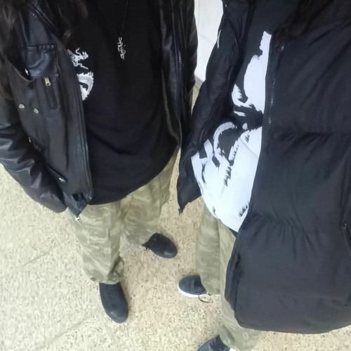 The Bristles - Bristles Song