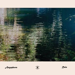 Angophora - Rain - s0523