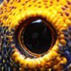 Commercial - Noh4ine.mp3