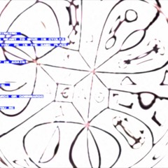 TxPFW (Live A/V Set)