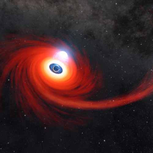 Descending into A Black Hole