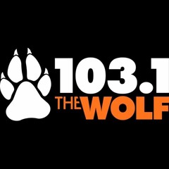 WBZO Long Island, NY - 103.1 The Wolf - ReelWorld The Bull 2017 - March 2024