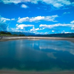 Антон Рипатти - На свет