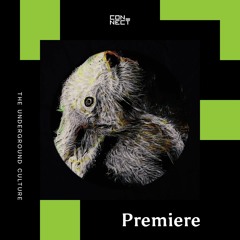 PREMIERE: Braila - Goldie Rush [Coral Riffs]