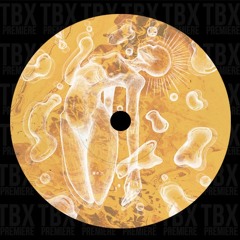 Premiere: Techfui - Hibiki Awa (Rashed Al Dhaen Remix) [TFUI004]