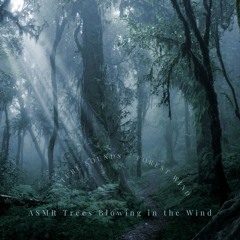 ASMR Sounds of Blowing Winds