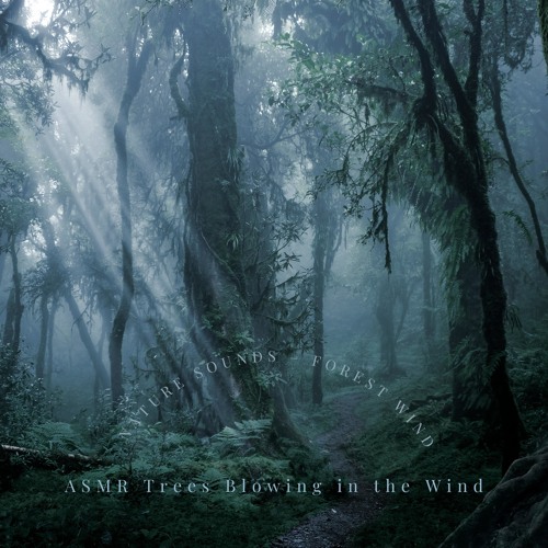 ASMR Sounds of Blowing Winds