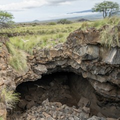 Owl Caves