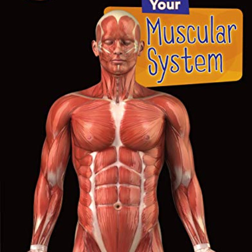 [Download] EBOOK ✏️ Your Muscular System (Searchlight Books ™ — How Does Your Body Wo