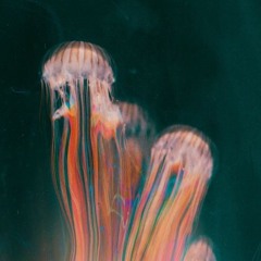 PsyTech Mix No.1