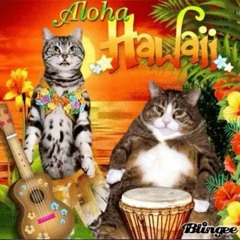 hawaii