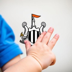 The North Star Shines