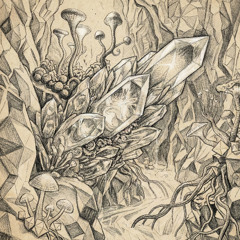 𝙻𝚒𝚎𝚋𝚕𝚒𝚗𝚐𝚜𝚔𝚊𝚜𝚜𝚎𝚝𝚝𝚎 #69 | Exkursion zu den Wurzeln