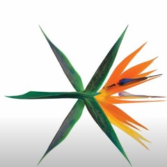 chill exo