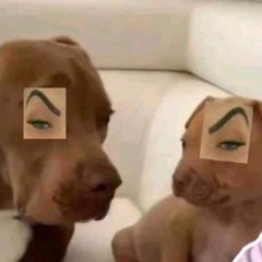 BROOKS BPM vol. 1 GIRLY GRWM BEATS ★