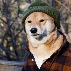 build failed with error code 0