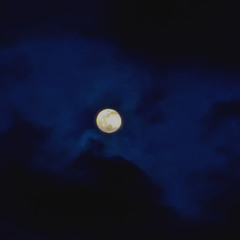 jupiter and mars (1)