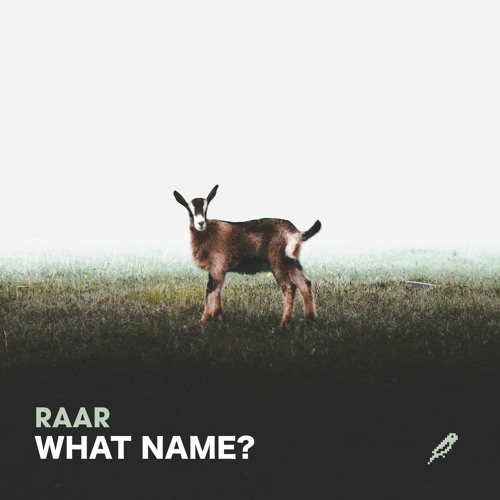 Raar - What Name?