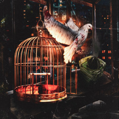 BIRD (feat. молодой калуга)