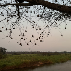 djhernani_SelectionAfroDeepMix_02-01-26