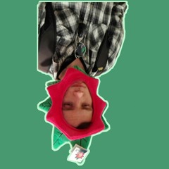 Snow Melting In The Sun