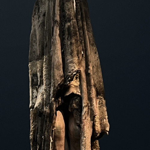 SNARE. - WHTDAGXN (Elhase M) free download