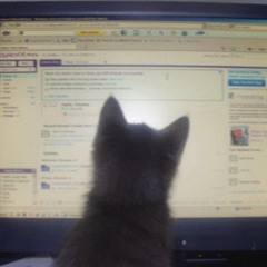 care ft. a clean break