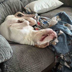 Mambo (Ft. Cooky La Mamba)