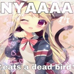 Mockingbird @ Gay Jazz Fest 3