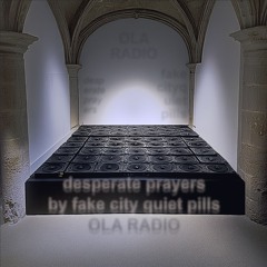 Hosting — Fake City Quiet Pills — Desperate Prayers