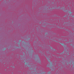 4 door  | Prod. daIn