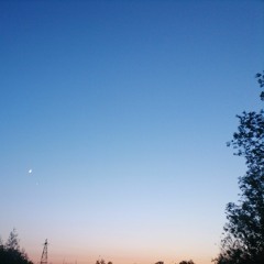 NIGHT WALK