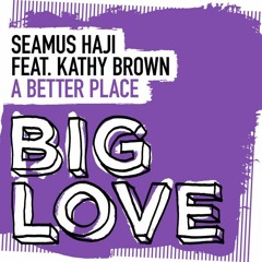 Seamus Haji ft. Kathy Brown - A Better Place