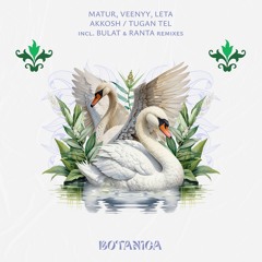 Premiere: Matur - Akkosh ft. Veenyy [Botanica]