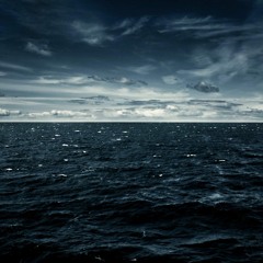 Ocean Breathes Salty