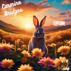 Carmine Bridges - Elysian (Mr Silky's LoFi Beats)