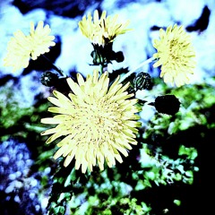 radio 2019 - 08.05.2025