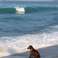 freestyle flair w\ budji rasowsky