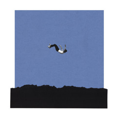 Falling For You (feat. VixoToxin)