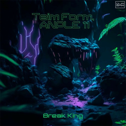 Teim Form, ANPLE 11 - Break King (Original Mix)