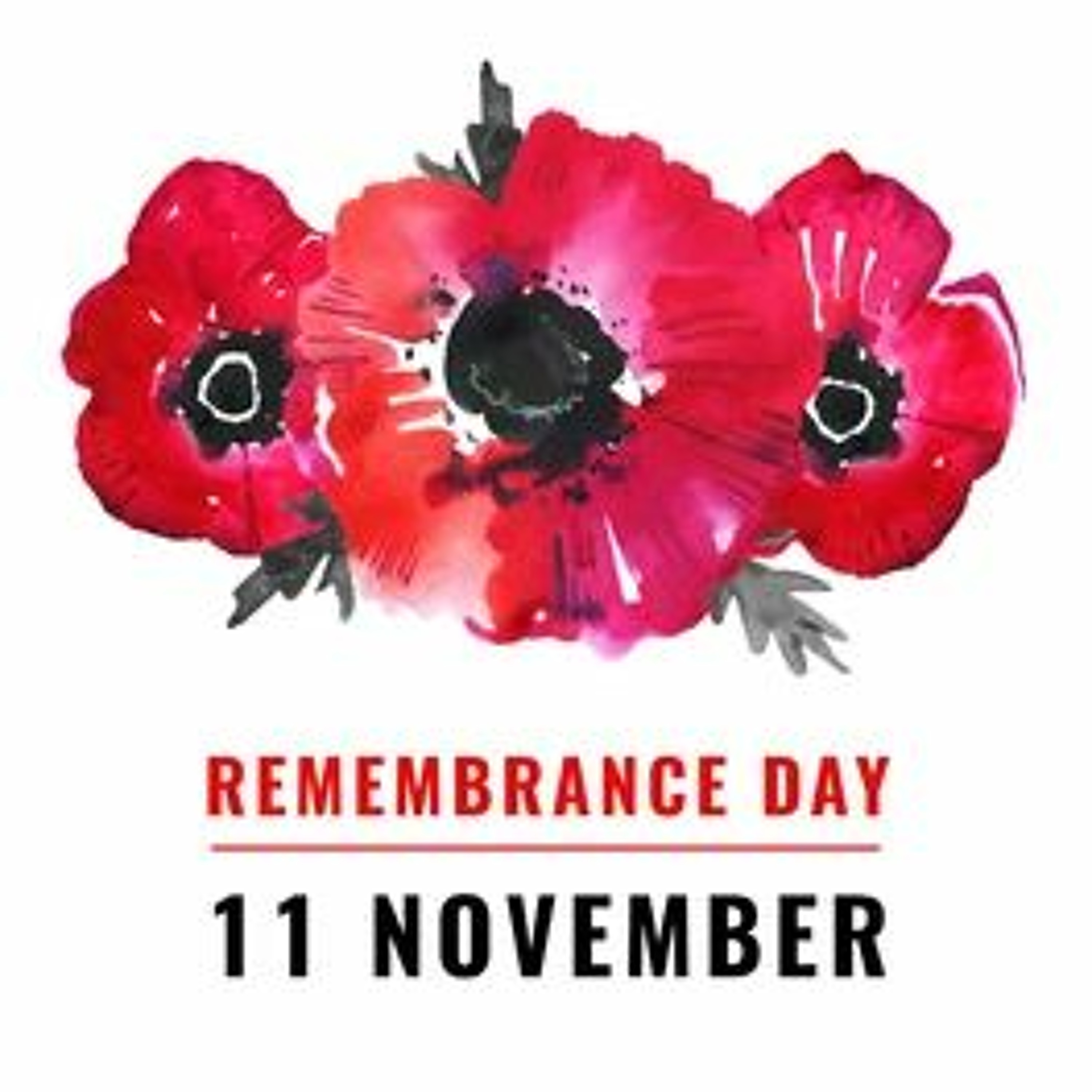 Remembrance Day episode artwork
