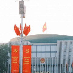 🇻🇳
